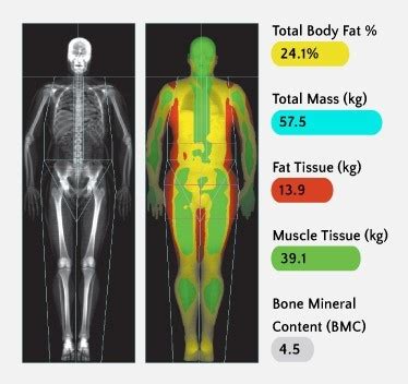 types of body scans.